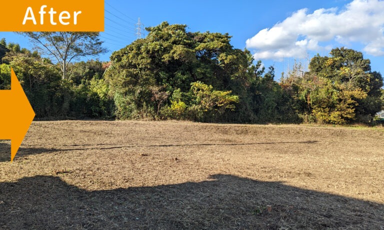 ②Afterオレンジ